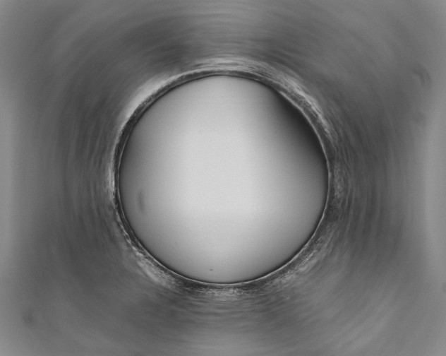 X0000110951328200907101259