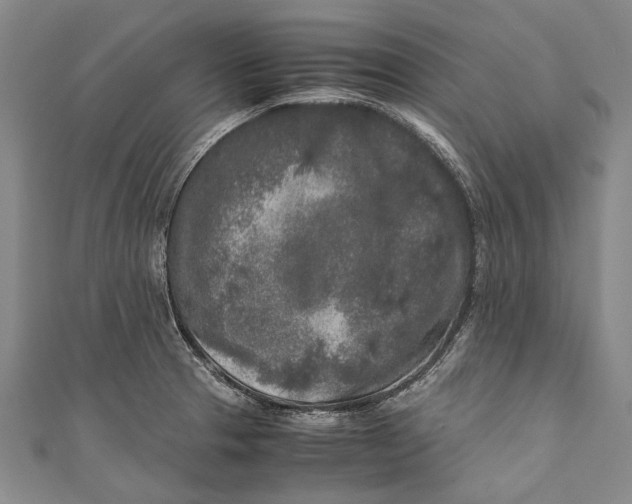 X0000110951329200907101259