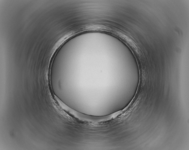 X0000110951330200907101259