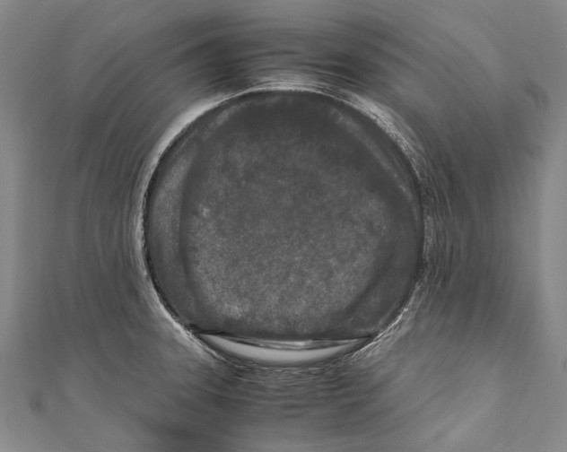 X0000110951331200907101259