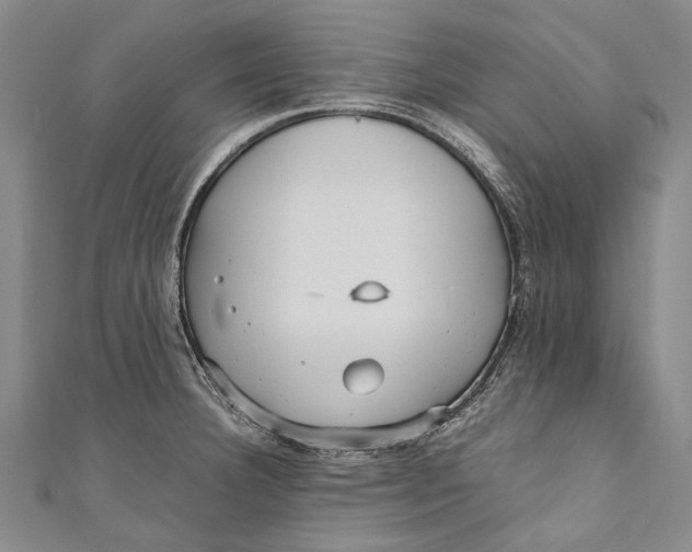 X0000110951332200907101259