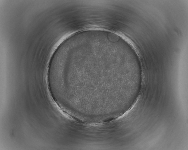 X0000110951333200907101259