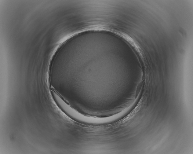 X0000110951334200907101259