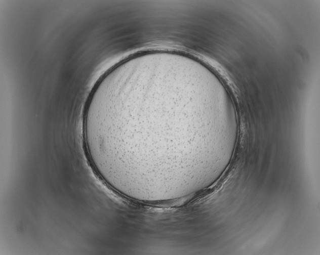 X0000110951335200907101259