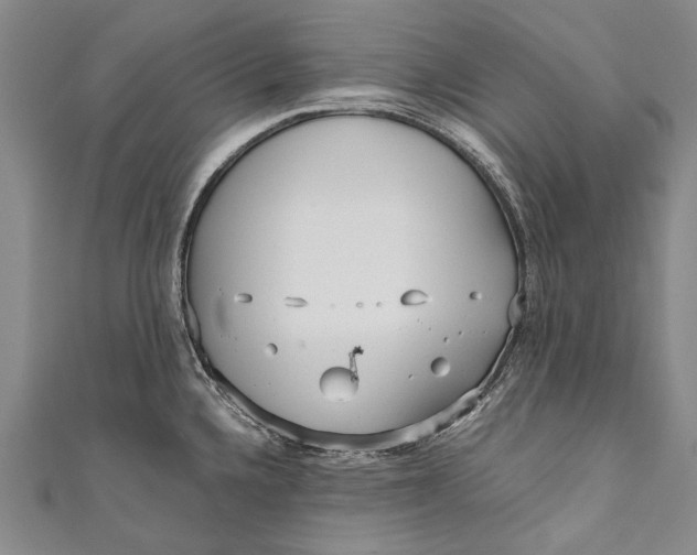 X0000110951336200907101259