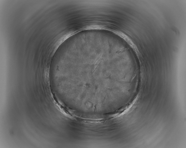 X0000110951337200907101259