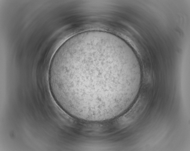 X0000110951338200907101259