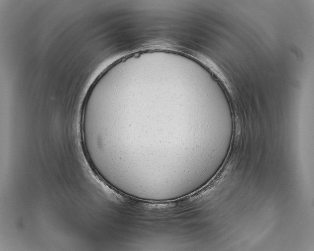 X0000110951339200907101259