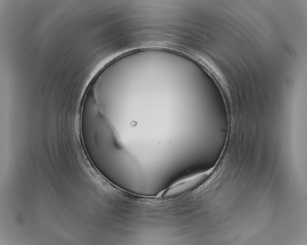 X0000110951340200907101259