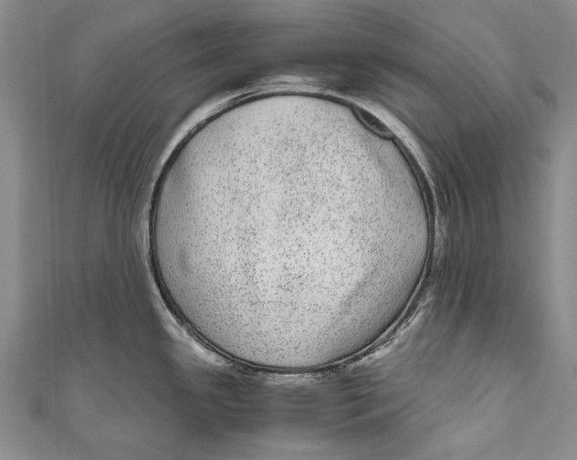 X0000110951341200907101259