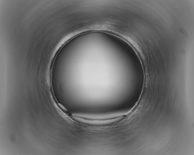 X0000110951342200907101259