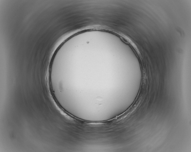 X0000110951343200907101259