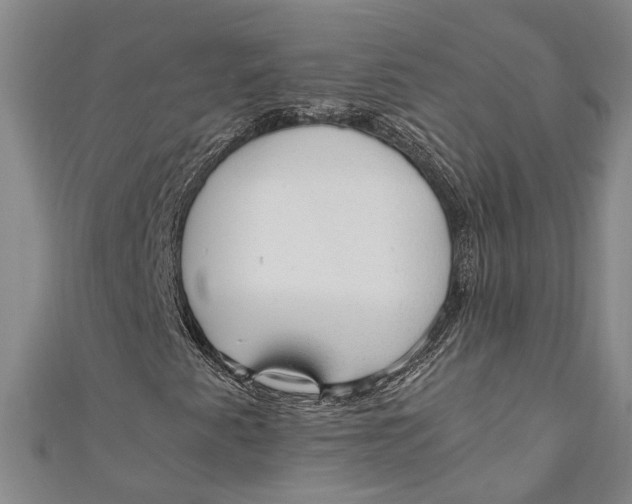 X0000110951345200907101259