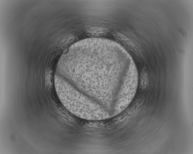 X0000110951346200907101259