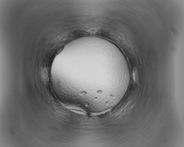 X0000110951347200907101259