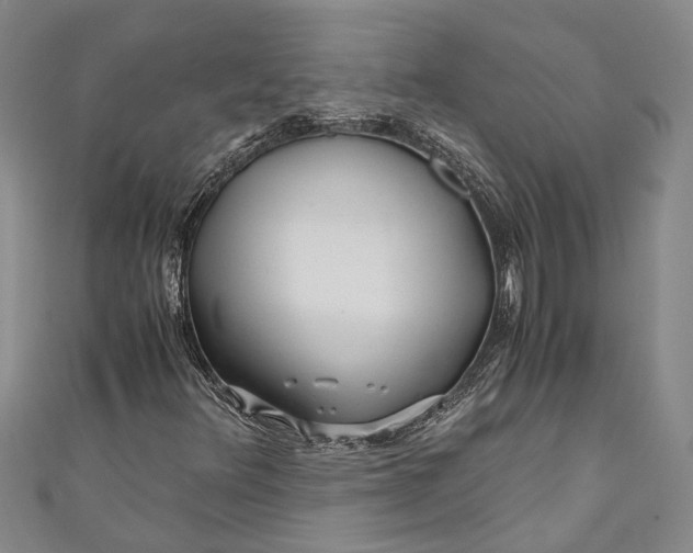 X0000110951348200907101259