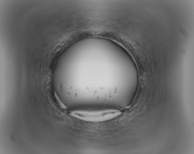 X0000110951349200907101259