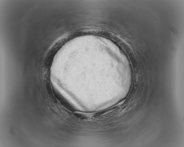 X0000110951351200907101259