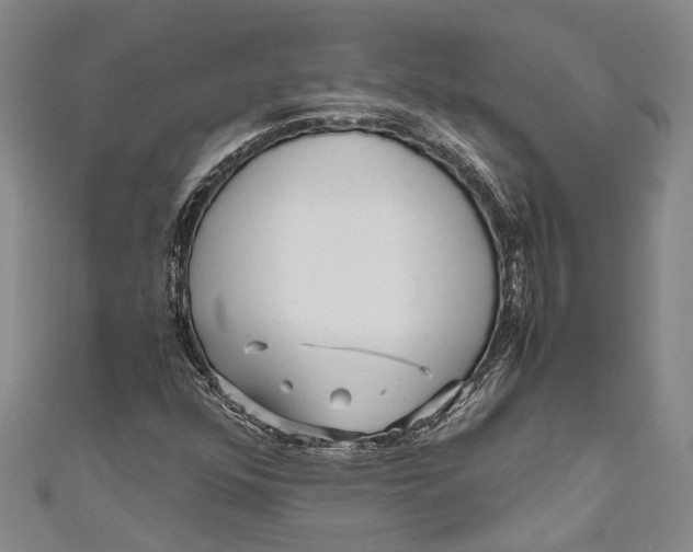 X0000110951352200907101259