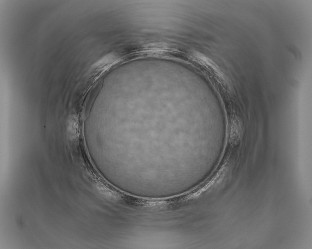 X0000110951353200907101259