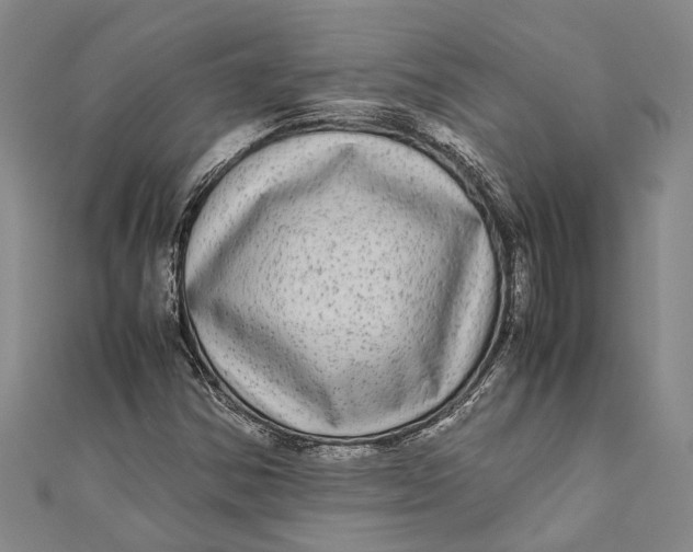 X0000110951354200907101258