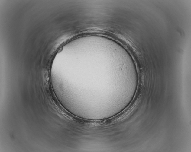 X0000110951355200907101258