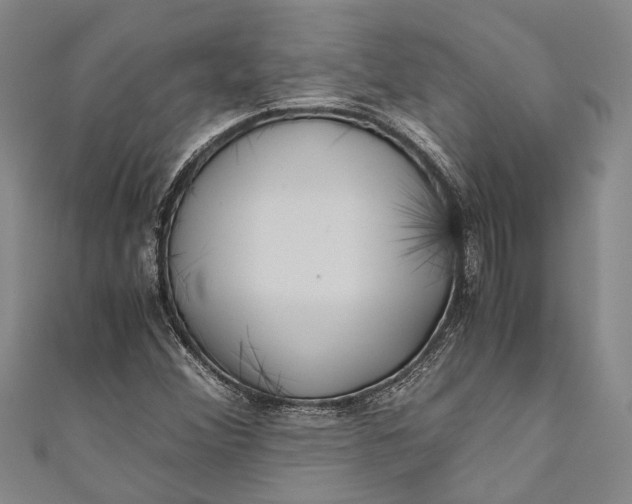 X0000110951356200907101258