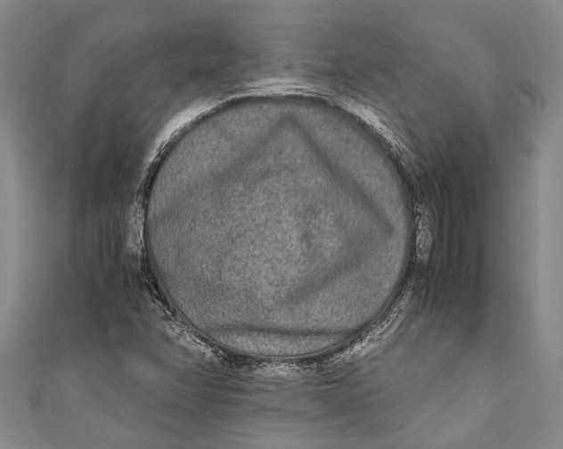 X0000110951358200907101258