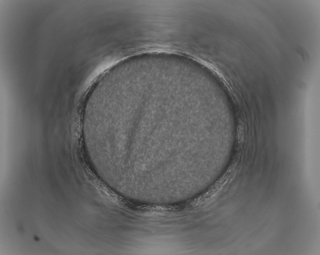 X0000110951359200907101258