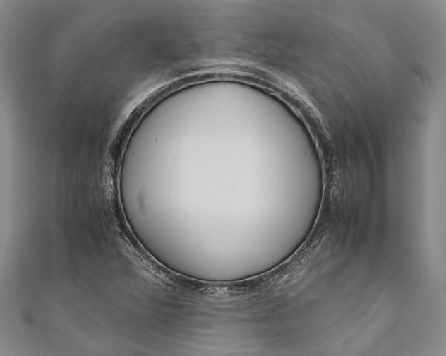 X0000110951360200907101258