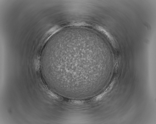 X0000110951361200907101258