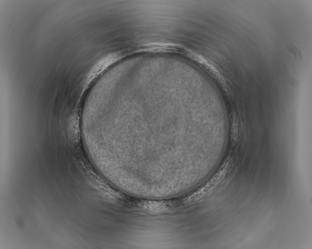 X0000110951362200907101258