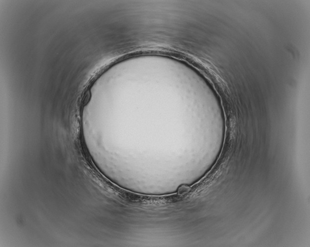 X0000110951363200907101258