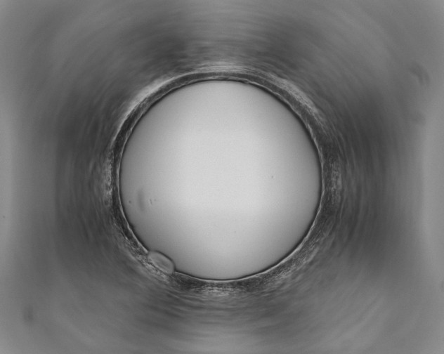 X0000110951364200907101258