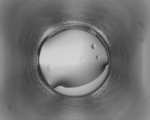 X0000110951365200907101258