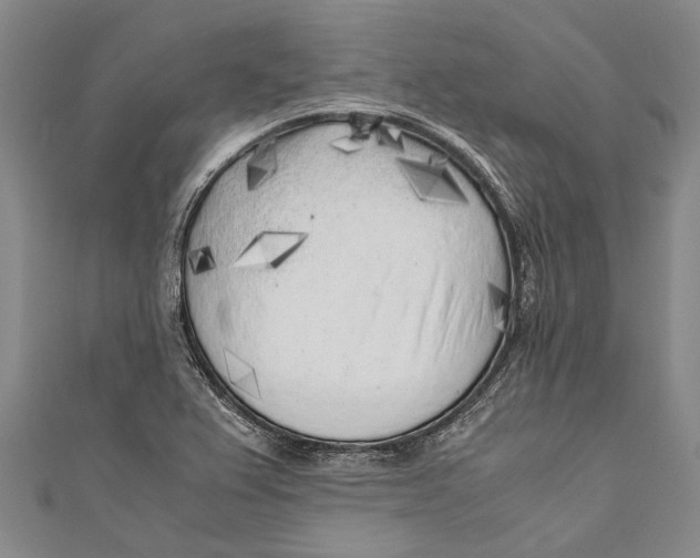 X0000110951367200907101258