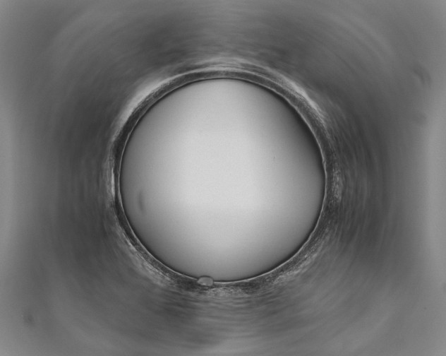 X0000110951368200907101258