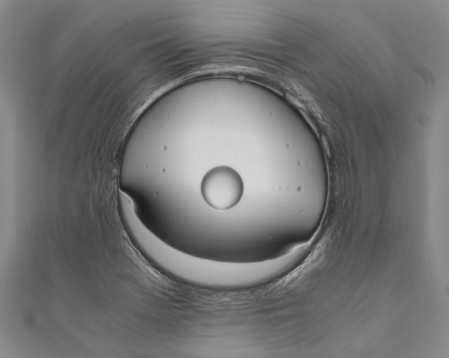 X0000110951369200907101258