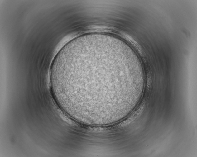 X0000110951370200907101258