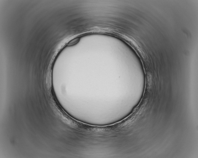 X0000110951371200907101258