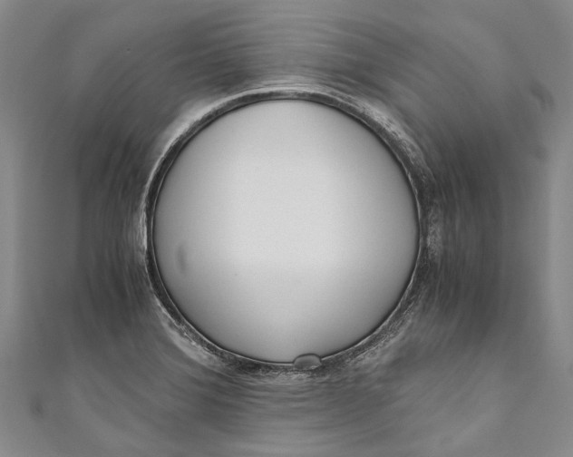 X0000110951372200907101258