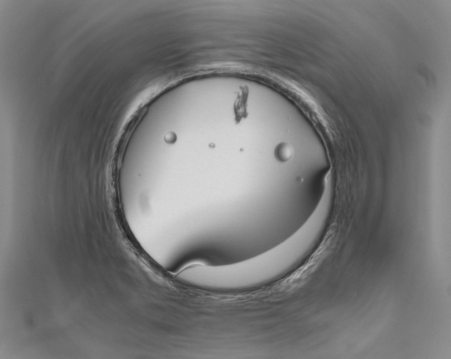 X0000110951373200907101258