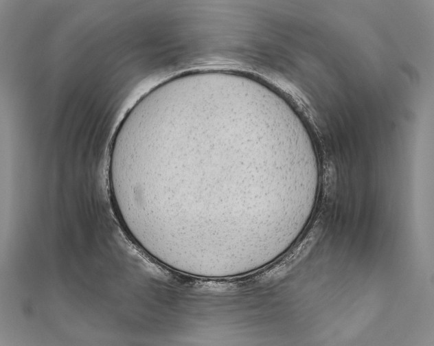 X0000110951374200907101258