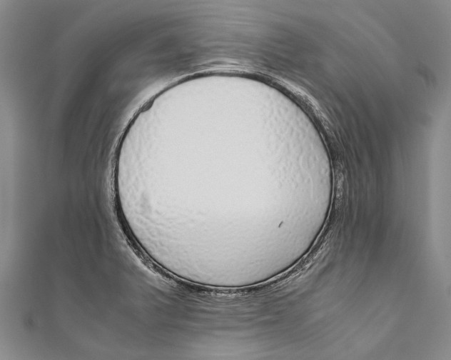 X0000110951375200907101258