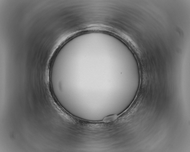 X0000110951376200907101258