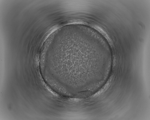 X0000110951377200907101258