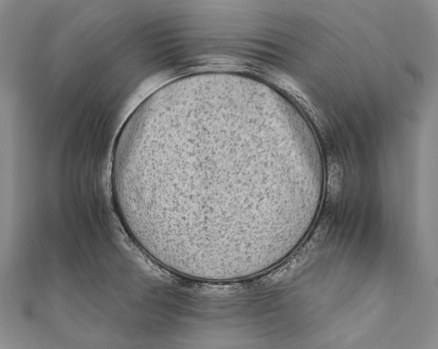 X0000110951378200907101258