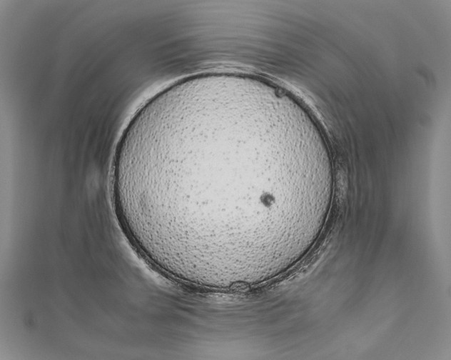 X0000110951379200907101258