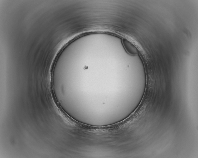 X0000110951380200907101258