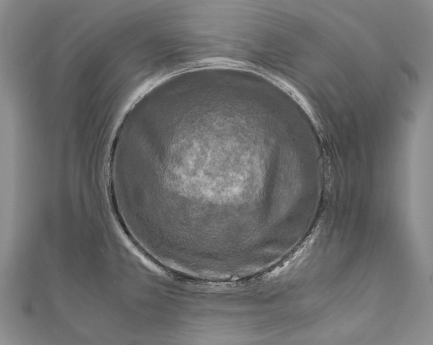 X0000110951381200907101258